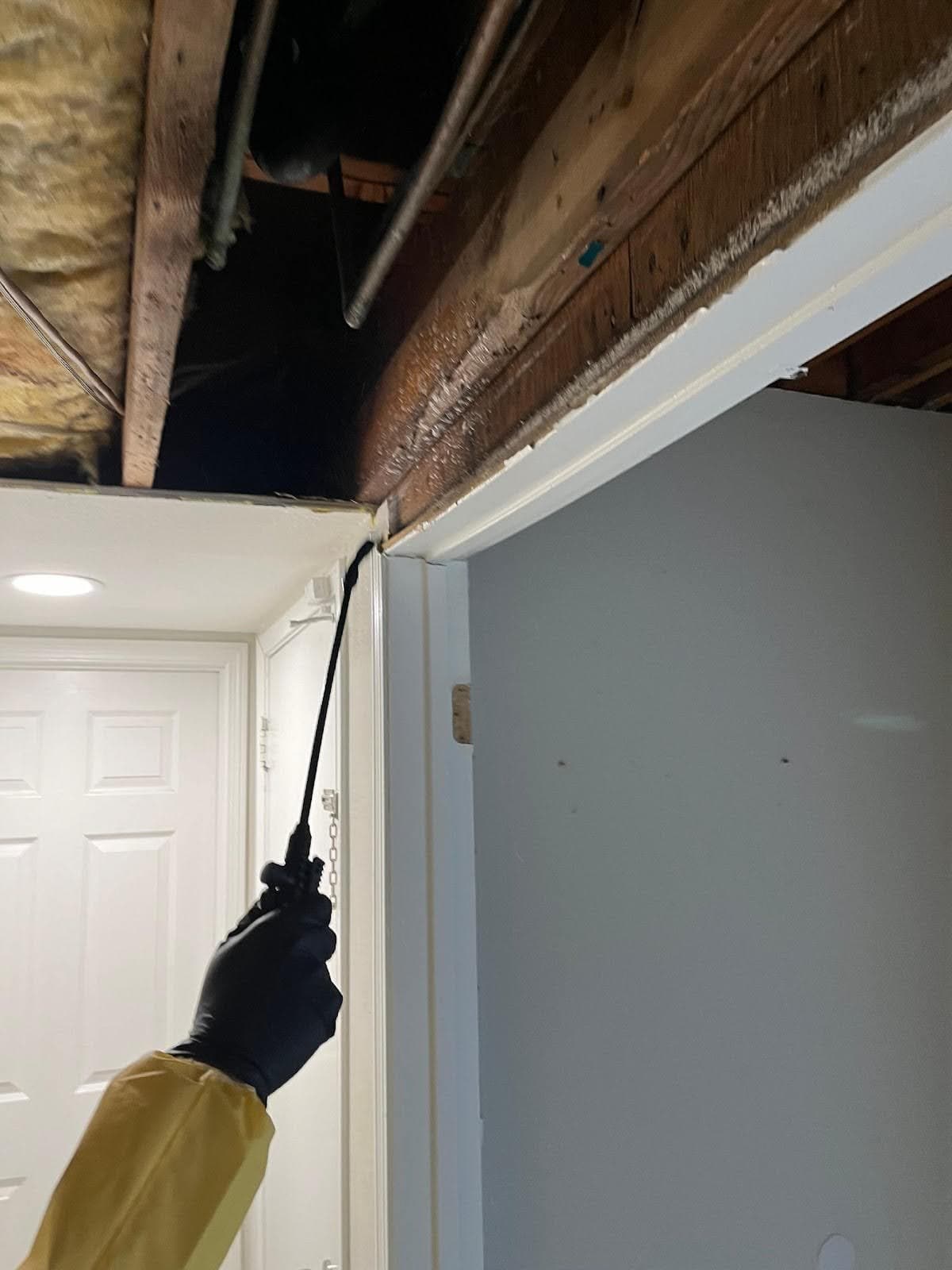 Project Advanced Termite Control in Rancho Cucamonga image