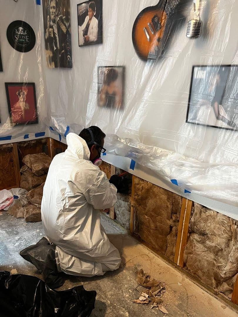 Project Expert Mold Remediation in Rancho Cucamonga image