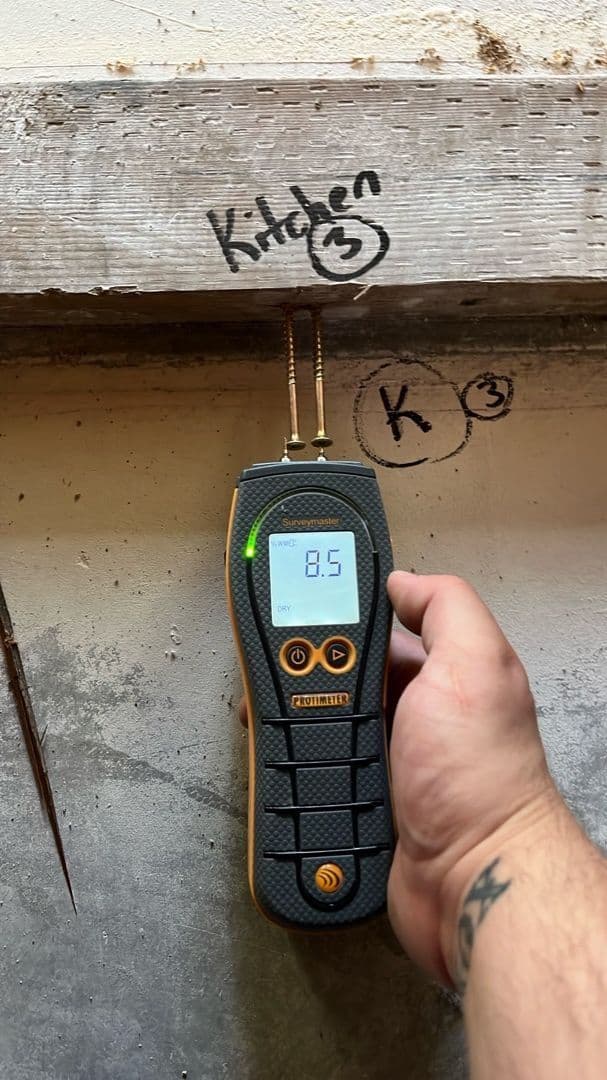 Effective Water Damage Restoration Techniques